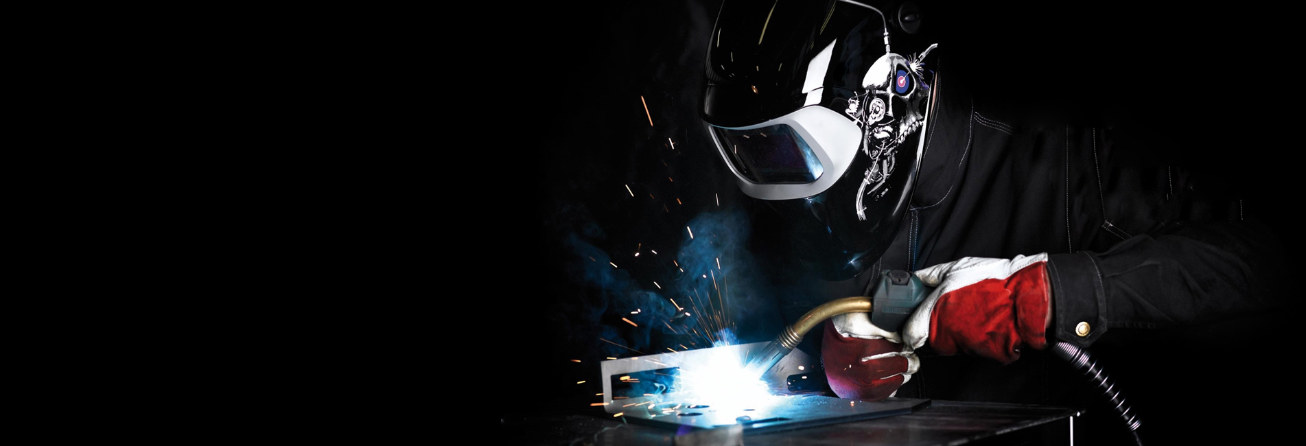 Wisdon Internatinal Banner