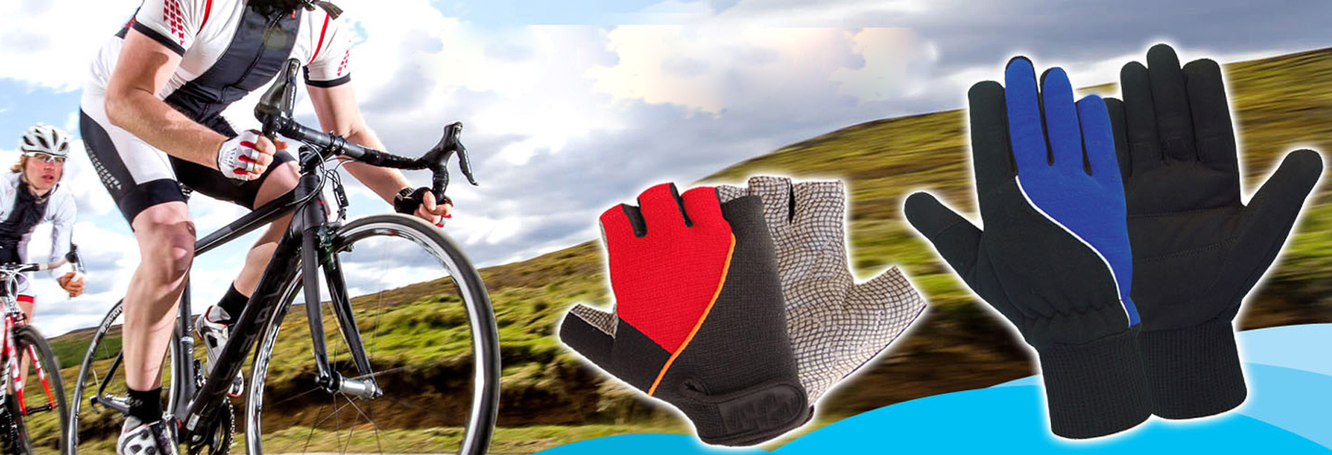 Wisdon Internatinal Banner