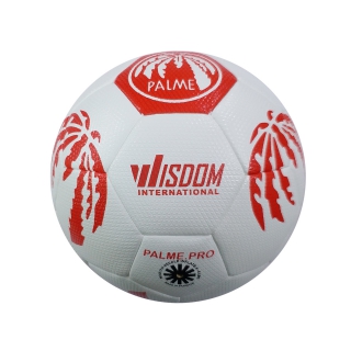 Soccer Ball