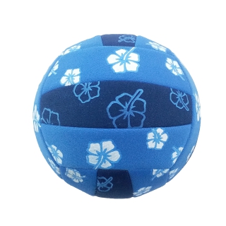 Volley Ball