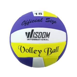 Volley Ball