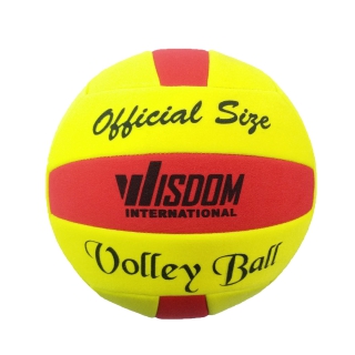 Volley Ball