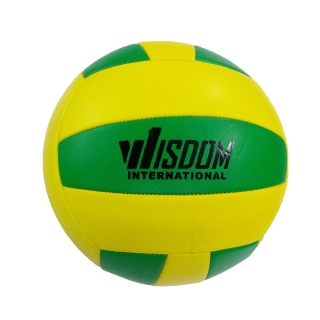 Volley Ball