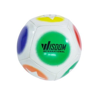Widsom Promotional Ball