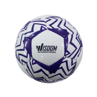 Soccer Ball