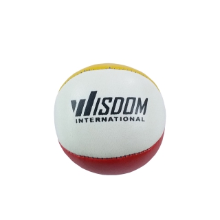 Widsom Juggle Ball